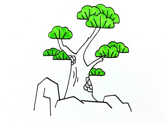 松柏树怎么画简单_松柏简笔画画法步骤图片教程