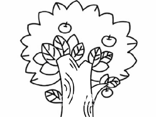 苹果树简笔画画法步骤图片教程