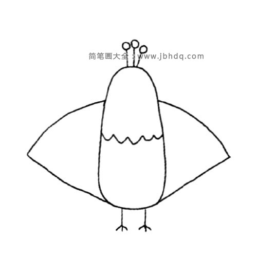 2.再画孔雀扇形的尾巴。