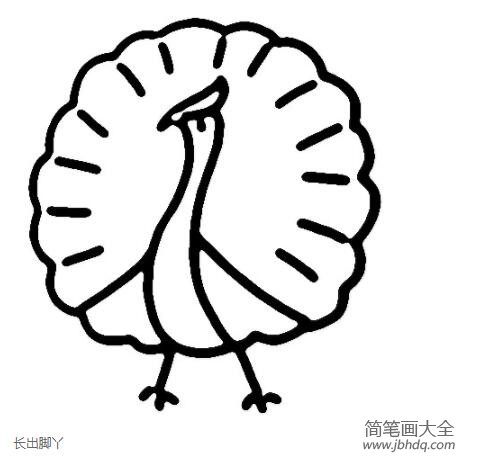 孔雀怎么画开屏孔雀简笔画图片步骤