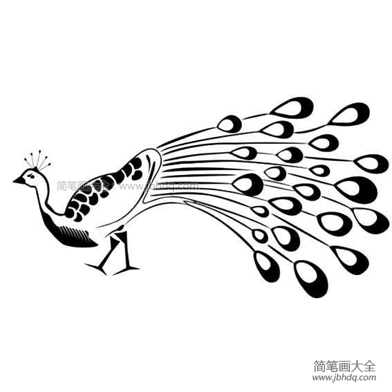 简单的孔雀简笔画图片