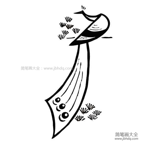 儿童孔雀简笔画图案
