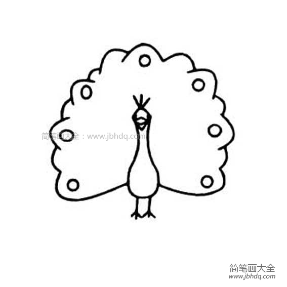 幼儿孔雀开屏简笔画