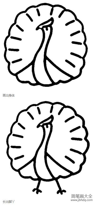 孔雀怎么画开屏孔雀简笔画图片步骤