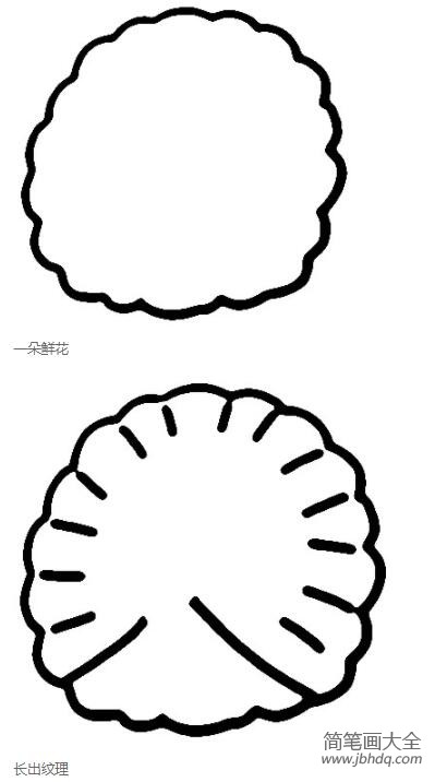孔雀怎么画开屏孔雀简笔画图片步骤