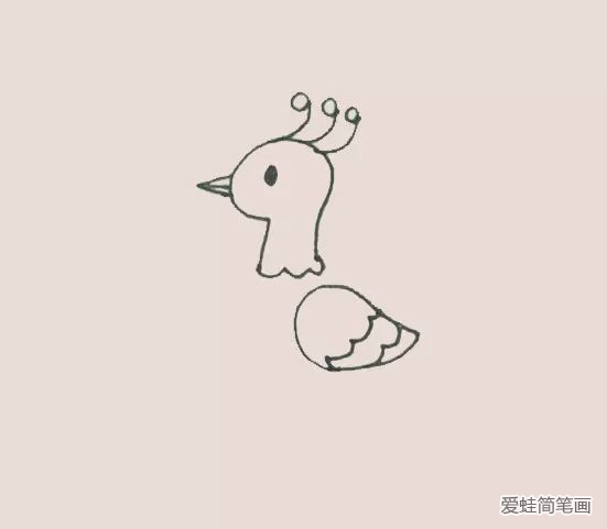孔雀简笔画