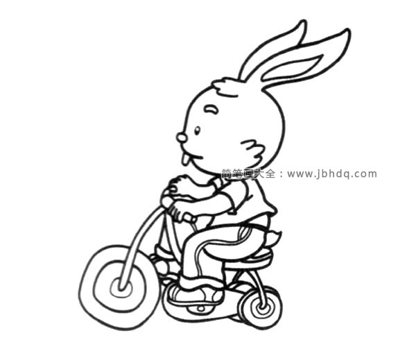 骑车的小兔子