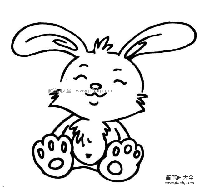 开心的兔子