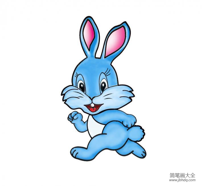 卡通兔子简笔画彩色 卡通动物简笔画