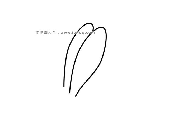 第一步：先画两只长长的大耳朵。