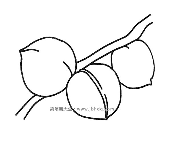 漂亮的桃子简笔画图片1