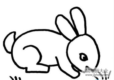 简笔画画小兔 小兔简笔画图片