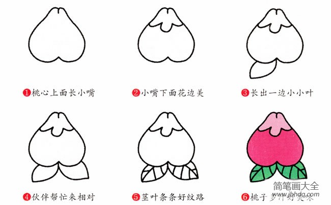 简笔画教程大全 水蜜桃简笔画步骤