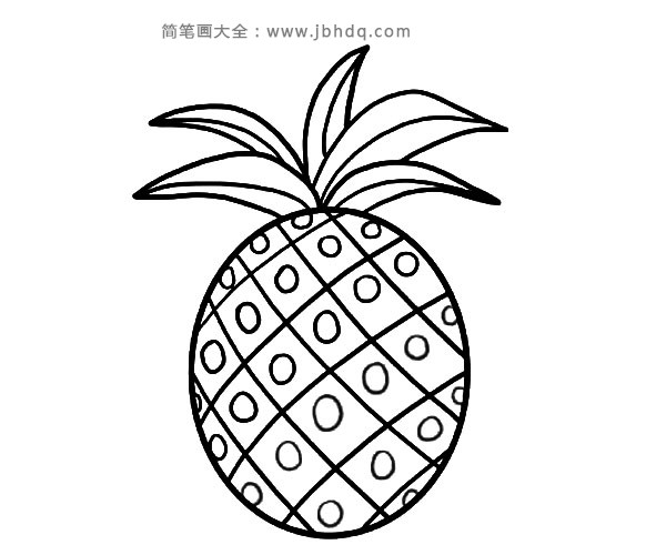 菠萝简笔画图片1