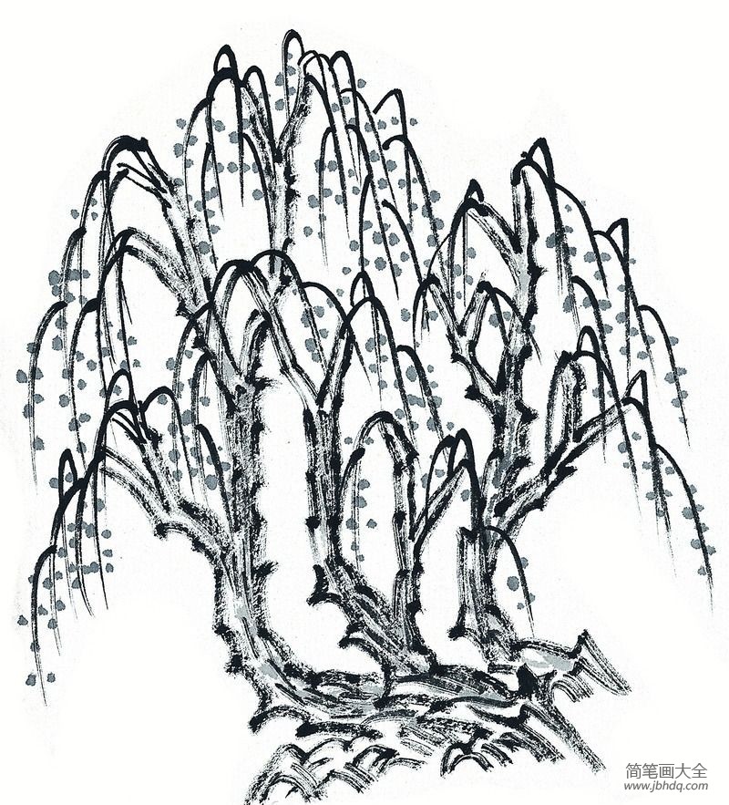 春天的柳树简笔画