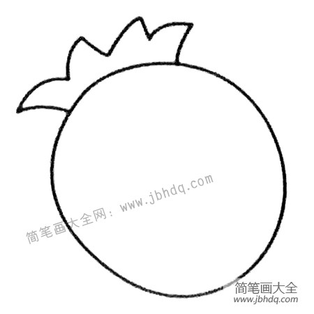 菠萝简笔画大全及画法步骤