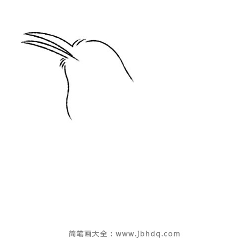 1.画出喜鹊的头部和又细又长的喙。