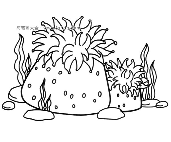 漂亮的海底风景简笔画1