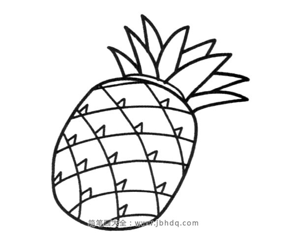 简笔画图片菠萝