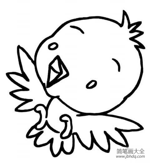 兴奋激动的小鸟简笔画图片
