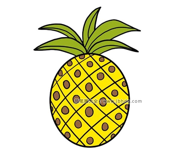 菠萝简笔画图片2