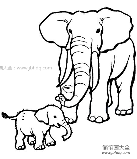 大象妈妈和小象简笔画