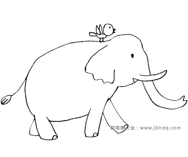 可爱的动物简笔画 大象