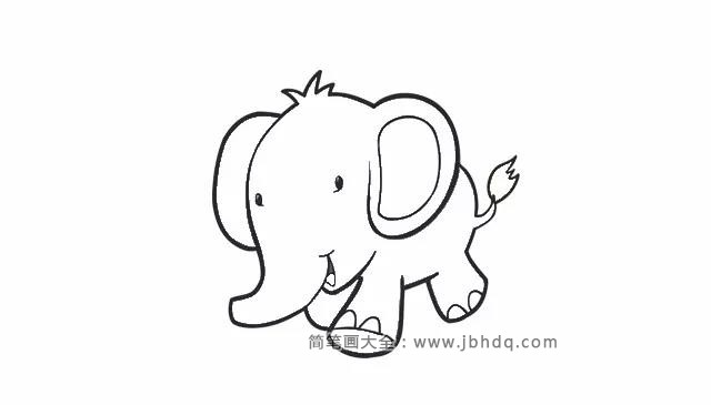 第四步  画出大象的两个耳朵和眼睛。
