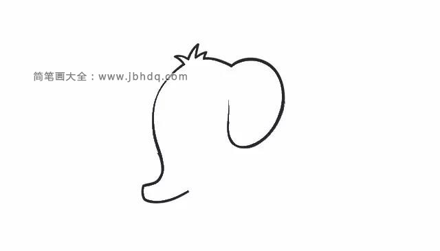 第一步  首先从大象的鼻子开始勾画至头顶，给大象画一些竖起来的毛发，然后再延伸到耳朵。
