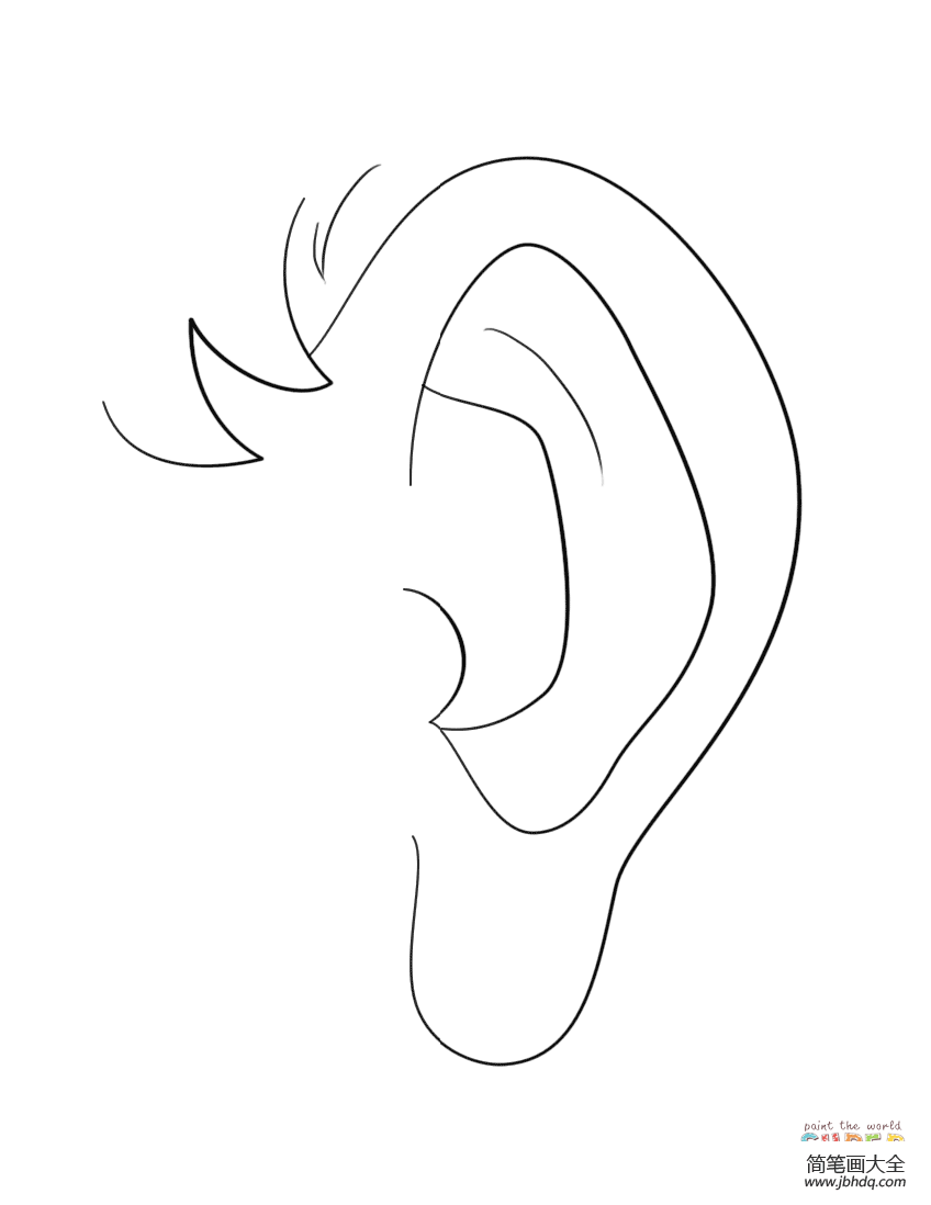 耳朵
