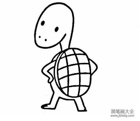 可爱乌龟简笔画图片