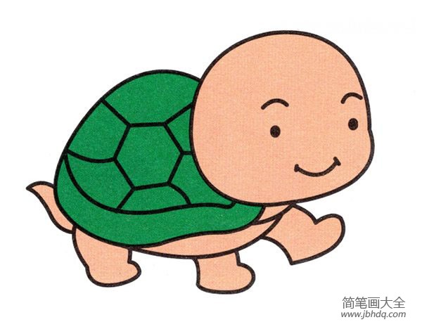 可爱小乌龟简笔画图片素描