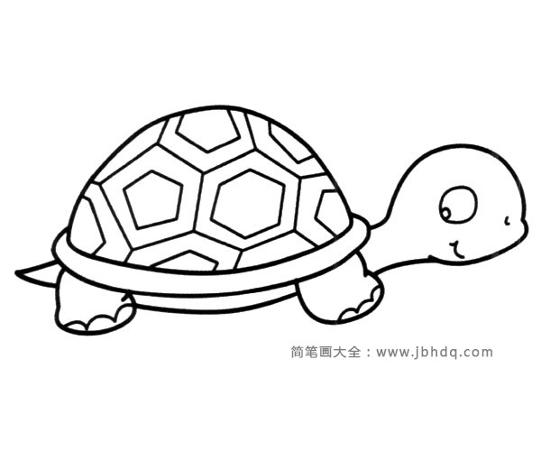可爱的卡通乌龟