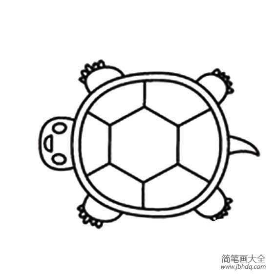 幼儿乌龟的简笔画画法