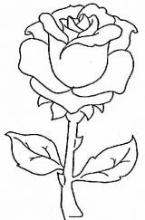 简单易学的玫瑰花简笔画图片