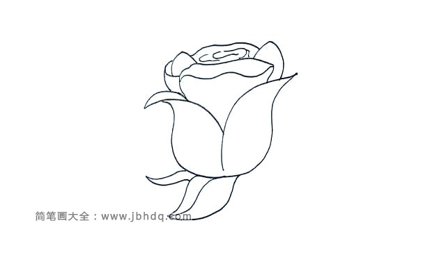 第六步:在花朵左下方画出玫瑰花叶子.注意叶子不要太长。