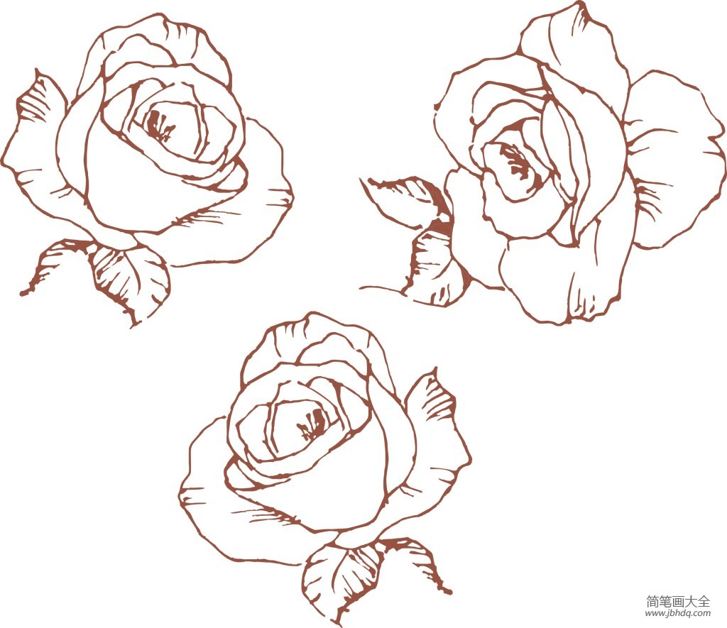 简单易学的玫瑰花简笔画图片