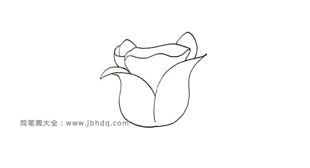 第四步:它的花瓣是层层叠叠的.再画上两侧的花瓣。