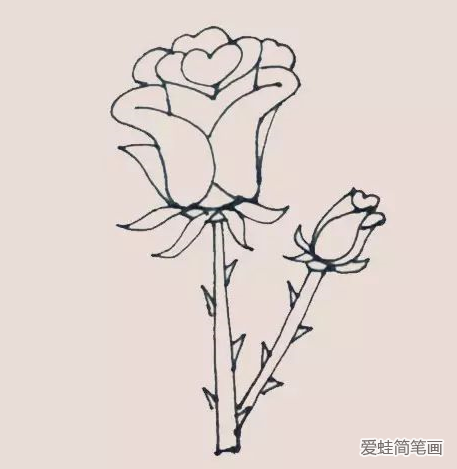 玫瑰花简笔画