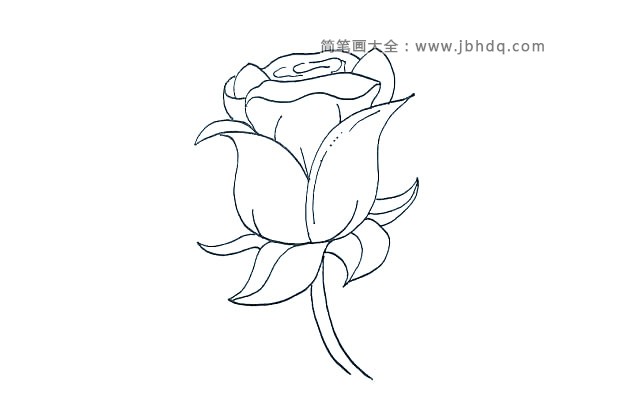 第九步:在用线和点来装饰下花瓣。