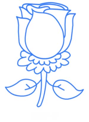 玫瑰花简笔画步骤图解
