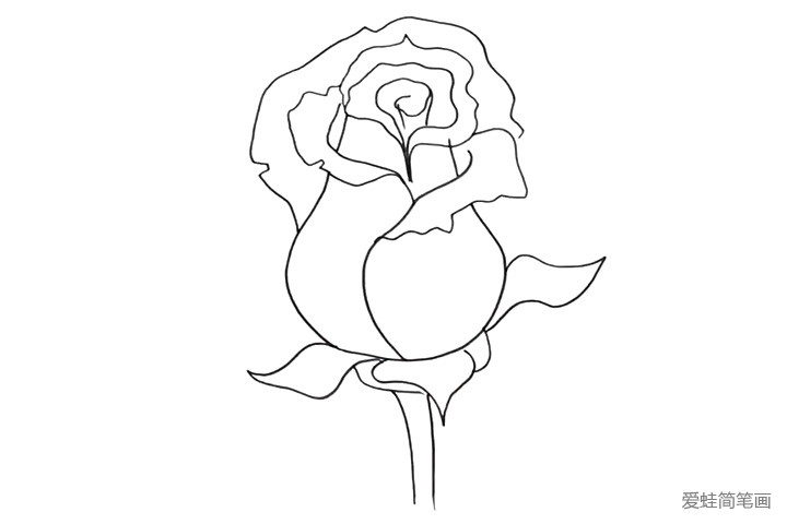 3.接着画玫瑰花的叶子和茎。