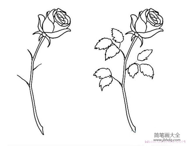 七夕玫瑰花简笔画卡通