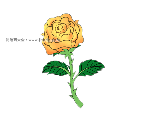 玫瑰花简笔画图片1