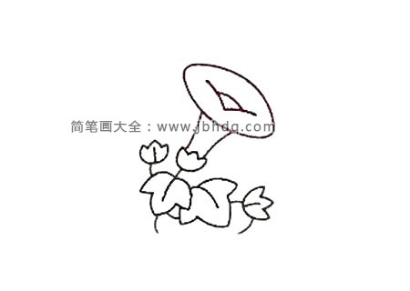 第六步继续添加叶子。