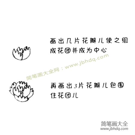 1.从中心处开始重叠着画几篇花瓣儿。