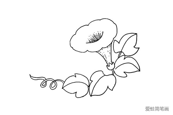 8.在叶子的旁边画上一根螺旋形的引蔓。