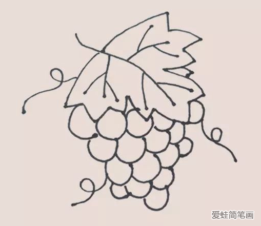 葡萄简笔画