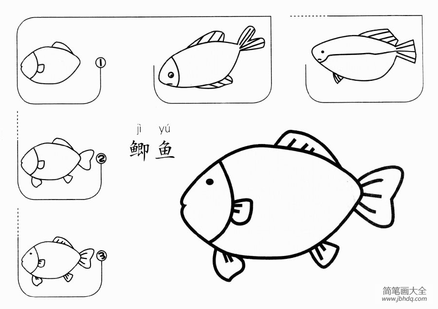 鲫鱼怎么画