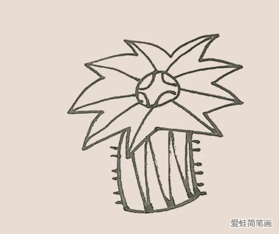 简笔画之海葵